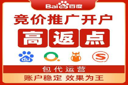 精准营销之道：百度竞价代理案例剖析